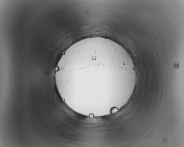 X0000102770480200808180959