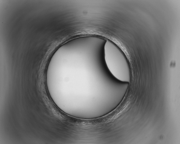 X0000102770481200808180958