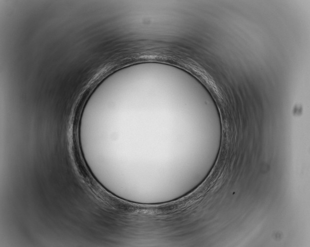 X0000102770482200808180958