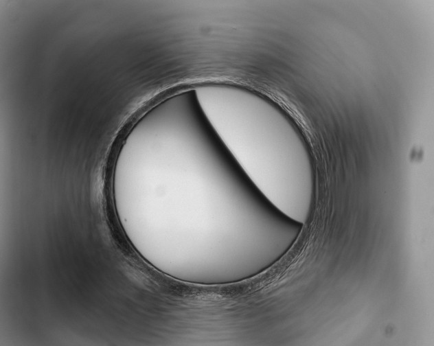 X0000102770483200808180958