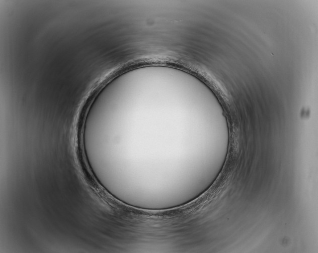 X0000102770486200808180958