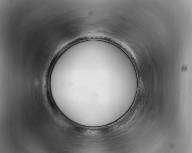 X0000102770487200808180958