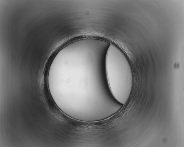 X0000102770488200808180958
