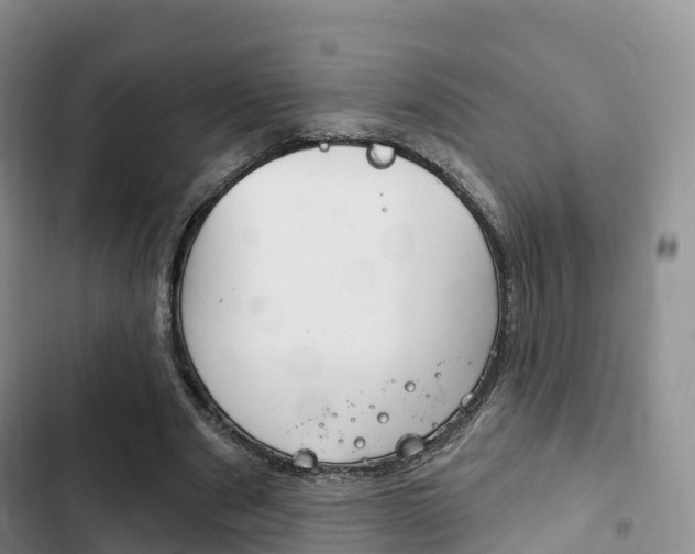 X0000102770489200808180958