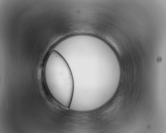 X0000102770491200808180958
