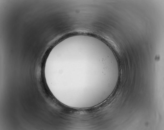 X0000102770492200808180958
