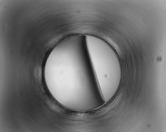 X0000102770493200808180958