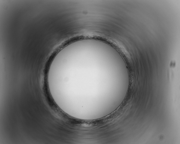 X0000102770496200808180958
