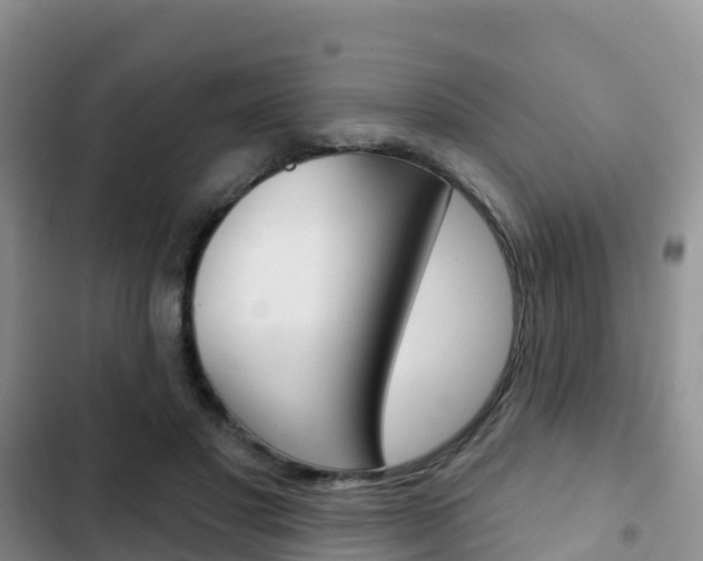 X0000102770501200808180958