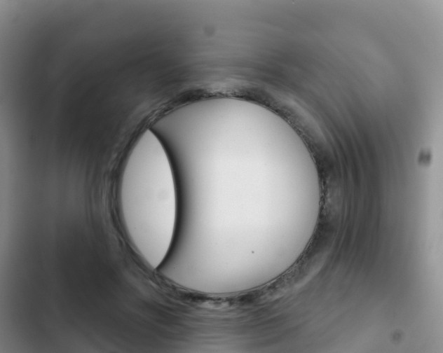 X0000102770502200808180958