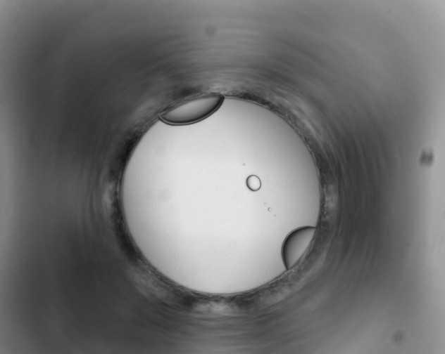 X0000102770503200808180958