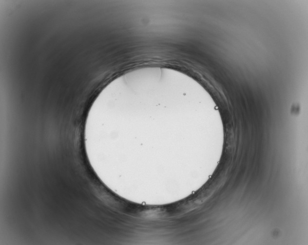 X0000102770505200808180958