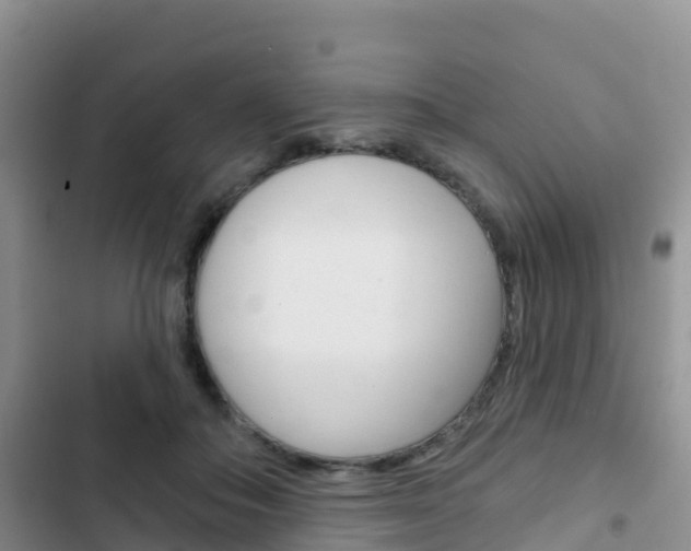 X0000102770506200808180958