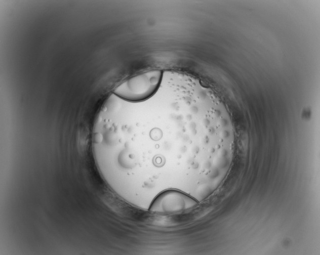 X0000102770507200808180958