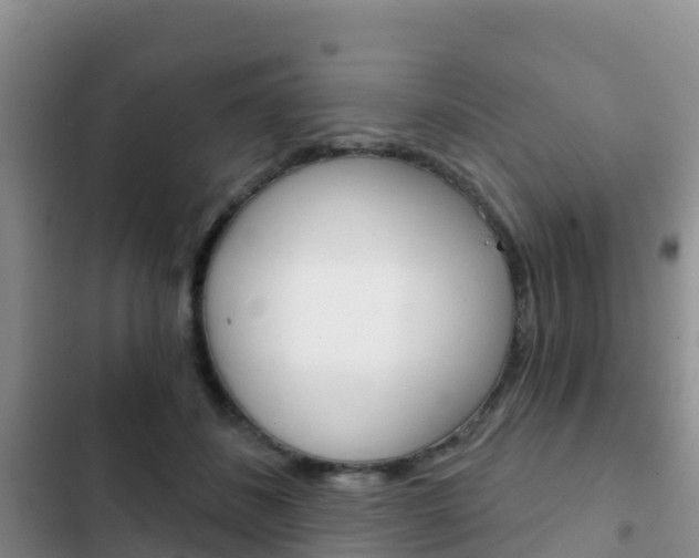 X0000102770508200808180958