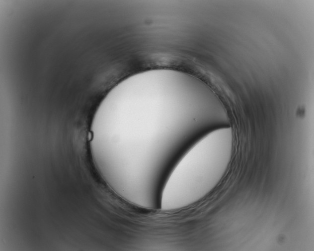 X0000102770509200808180958
