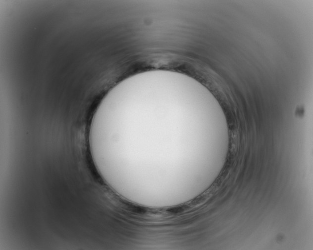 X0000102770510200808180958