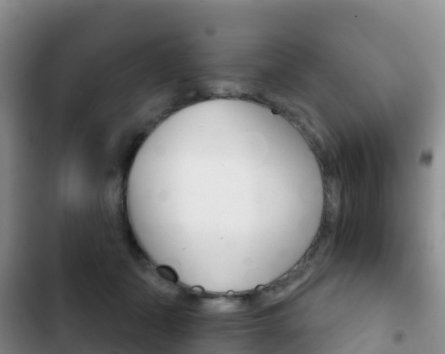 X0000102770511200808180958