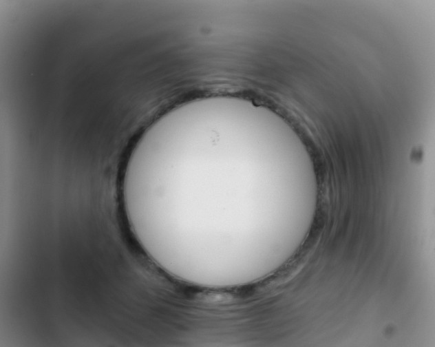 X0000102770512200808180958
