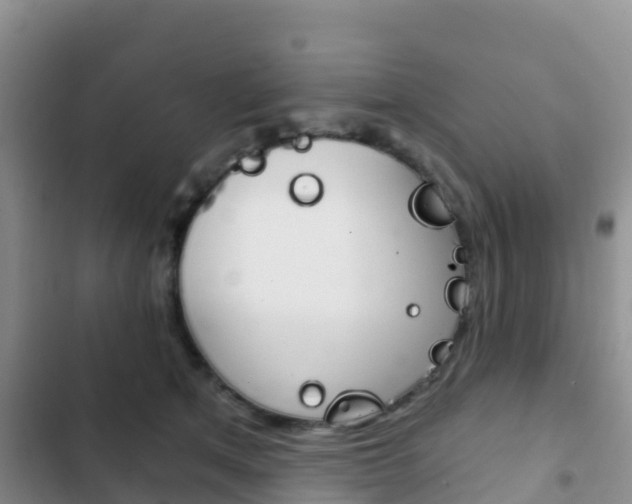 X0000102770513200808180958