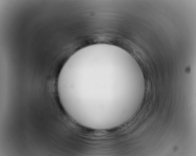 X0000102770514200808180958