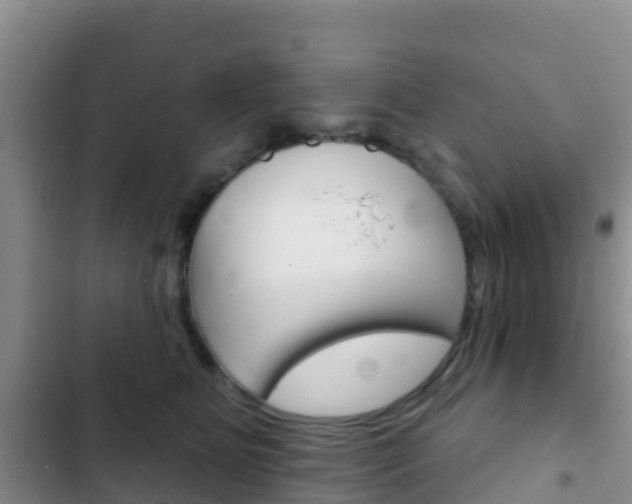 X0000102770515200808180958
