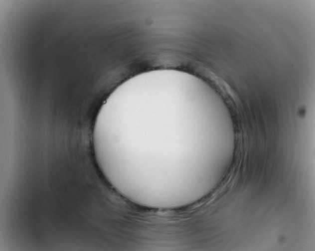 X0000102770517200808180958