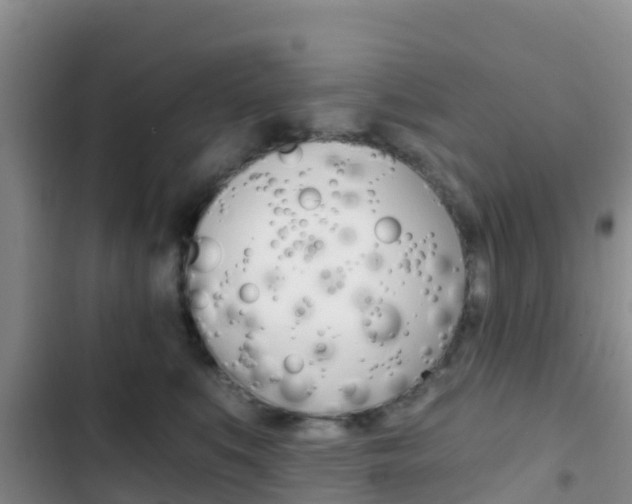 X0000102770519200808180958