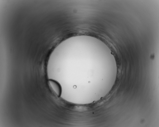 X0000102770520200808180958