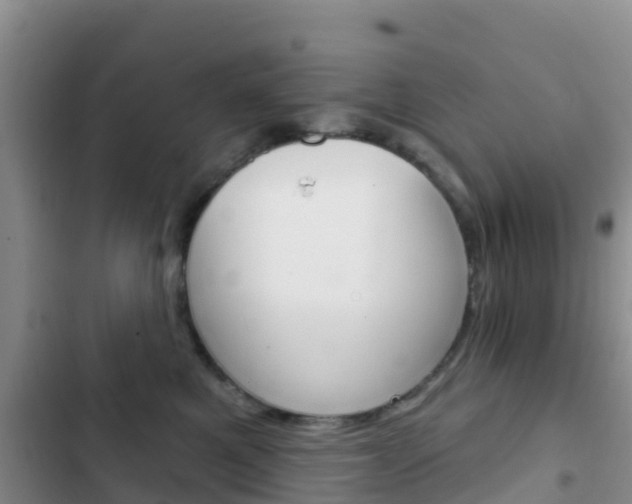 X0000102770521200808180958