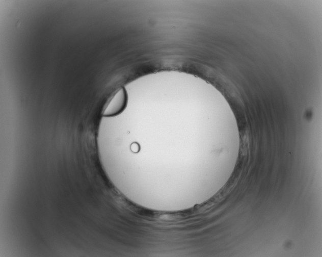 X0000102770522200808180958