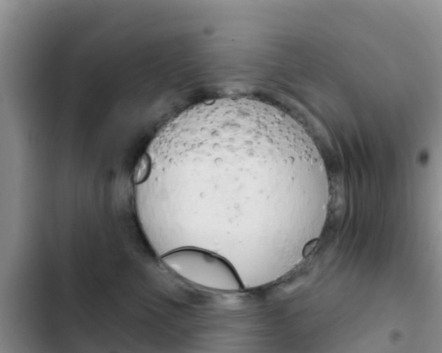 X0000102770523200808180958