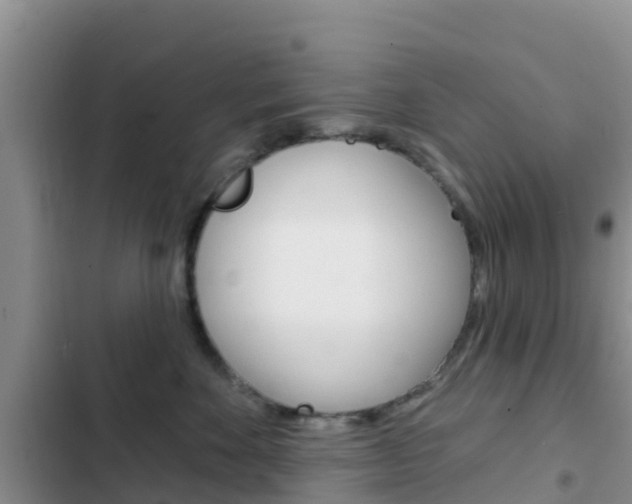 X0000102770524200808180958