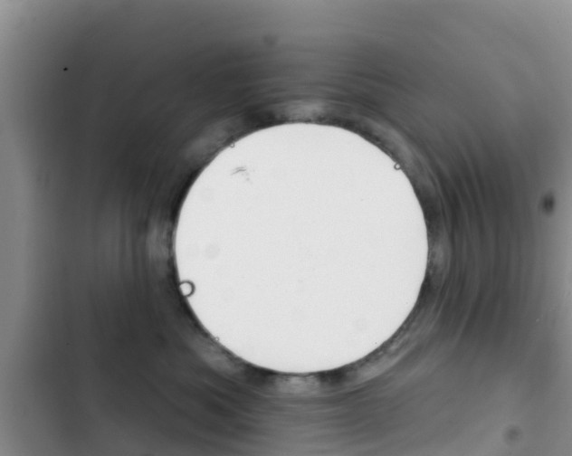 X0000102770525200808180958