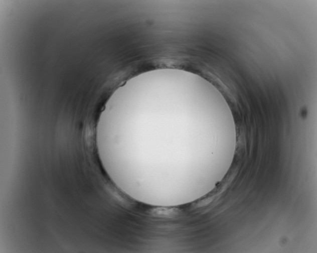 X0000102770526200808180958
