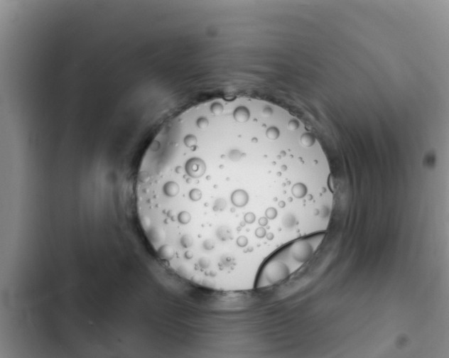 X0000102770527200808180958