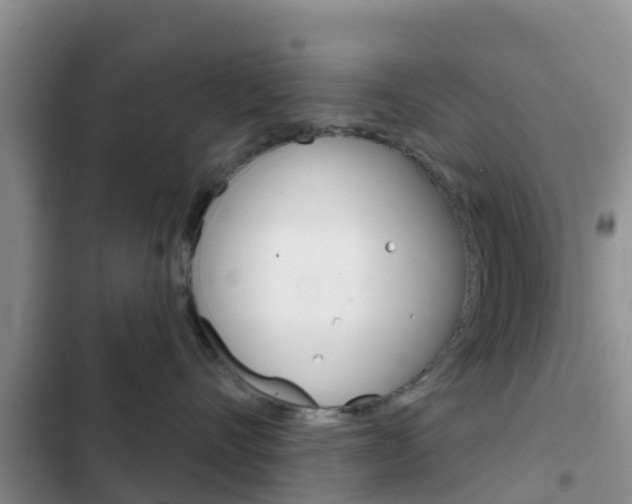 X0000102770528200808180958