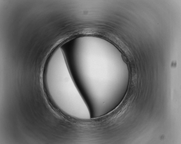 X0000102770530200808180957