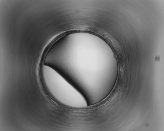 X0000102770532200808180957