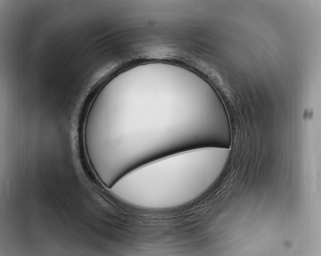 X0000102770535200808180957