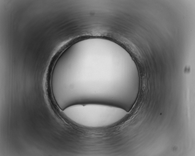 X0000102770536200808180957