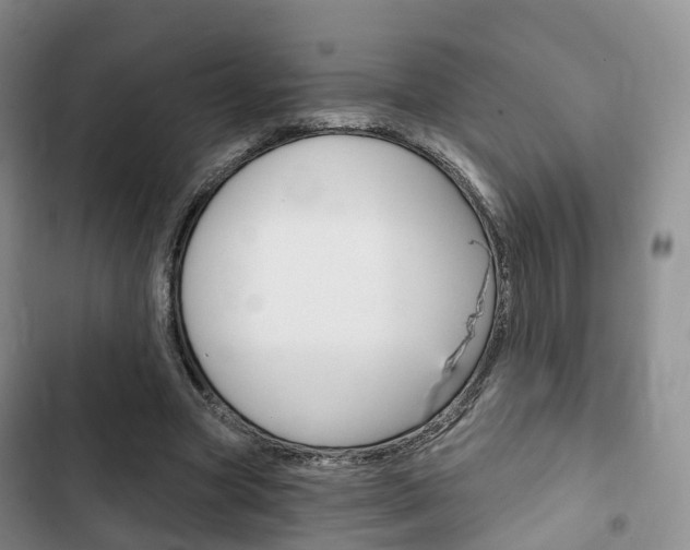 X0000102770537200808180957