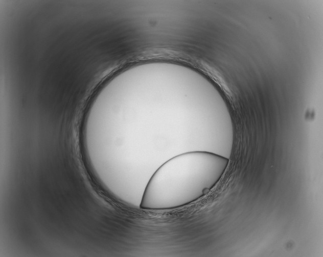 X0000102770538200808180957