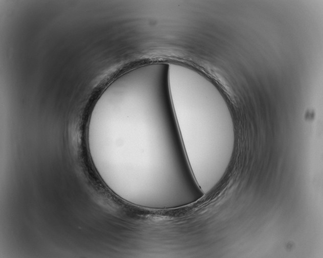X0000102770539200808180957
