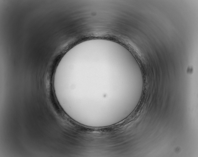 X0000102770542200808180957