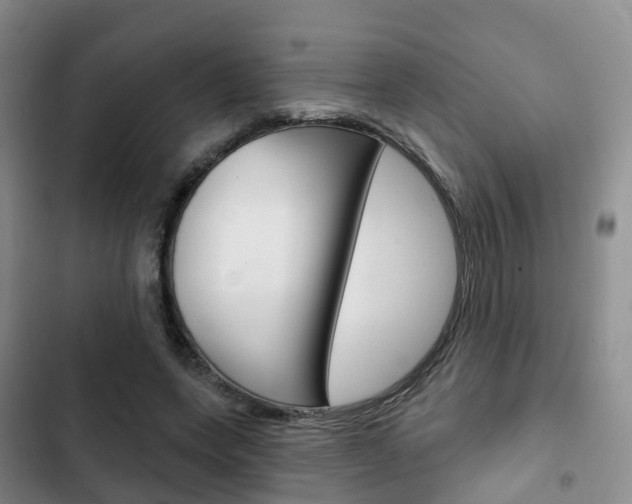 X0000102770543200808180957