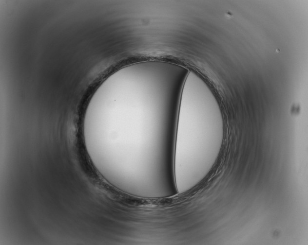 X0000102770544200808180957