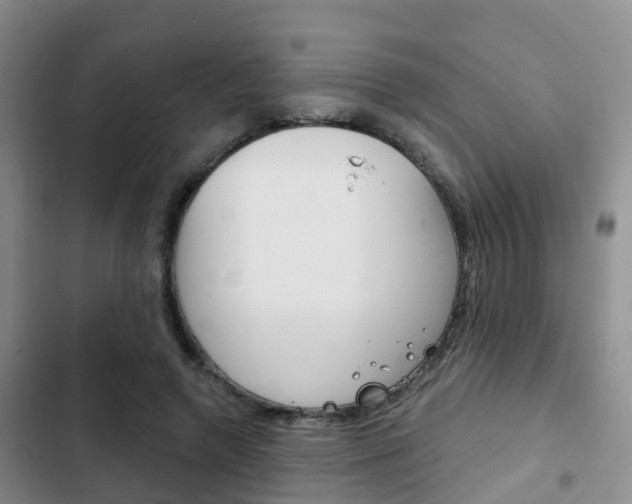 X0000102770546200808180957