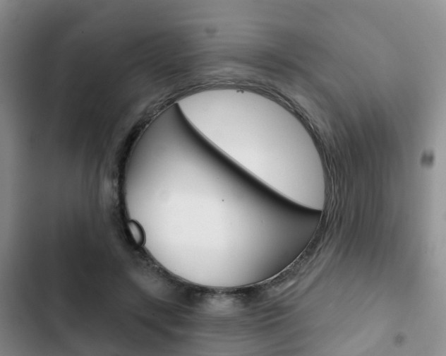 X0000102770547200808180957