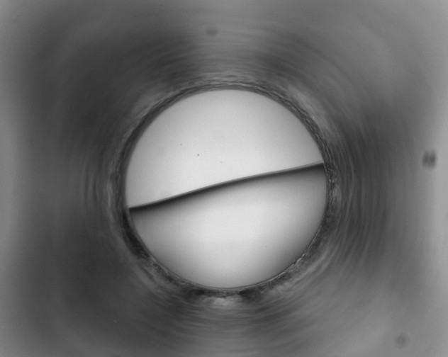 X0000102770548200808180957